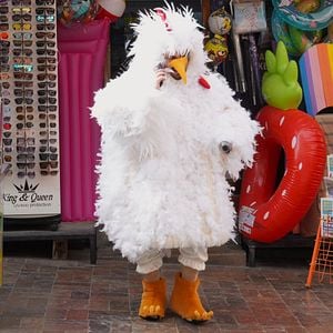 Fotoğraf Tur Rehberi