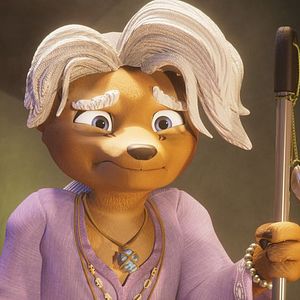 Fotoğraf Kayıp Kaplan