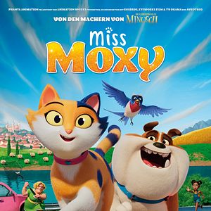 Fotoğraf Cesur Kedi Moxy
