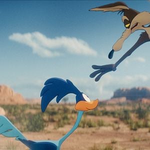 Fotoğraf Coyote, Acme'ye Karşı