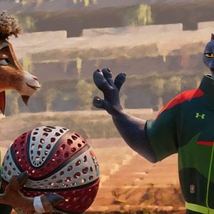 Fotoğraf Şampiyon Keçi: Tüm Zamanların En İyisi