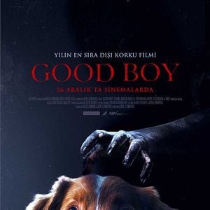 Fotoğraf Good Boy