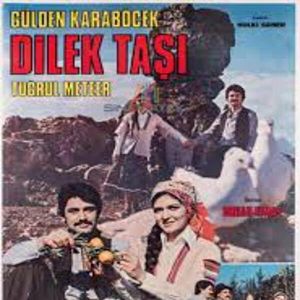 Fotoğraf Dilek Kutusu / Dilek Taşı