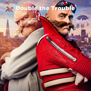 Fotoğraf Kirpi Sonic 3