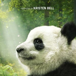 Fotoğraf Pandas