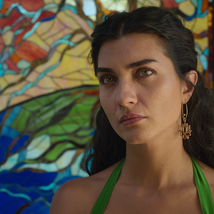 Fotoğraf Zeytin Ağacı