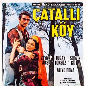 Fotoğraf Çatallı Köy
