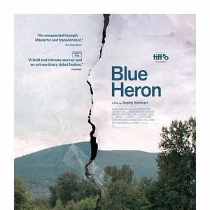 Fotoğraf Blue Heron