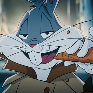 Fotoğraf Coyote, Acme'ye Karşı