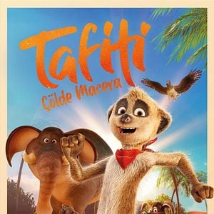 Fotoğraf Tafiti: Çölde Macera