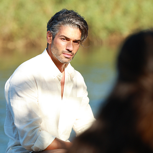 Fotoğraf Zeytin Ağacı