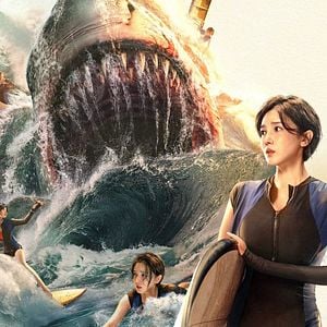 Fotoğraf The Shallows