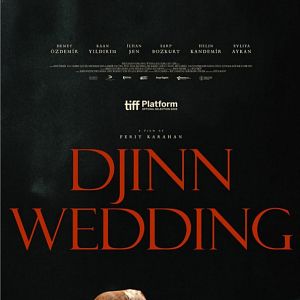 Fotoğraf Cinlerin Düğünü