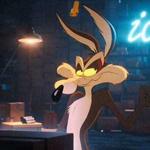 Fotoğraf Coyote, Acme'ye Karşı