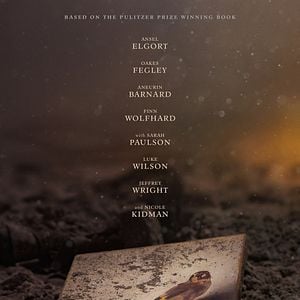 Fotoğraf Saka Kuşu