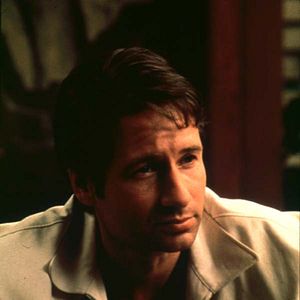 Fotoğraf David Duchovny