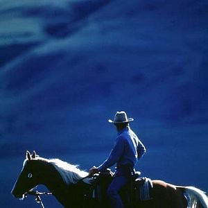 Fotoğraf Atlara Fısıldayan Adam