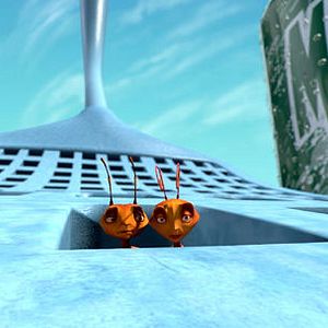 Fotoğraf Karınca Z