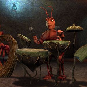 Fotoğraf Karınca Z