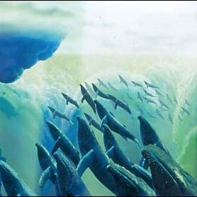 Fotoğraf Fantasia 2000