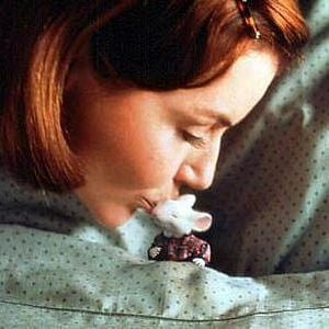 Fotoğraf Küçük Kardeşim