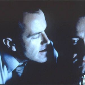 Fotoğraf Sevimli Haydut