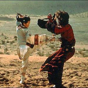 Fotoğraf Kaplan ve Ejderha