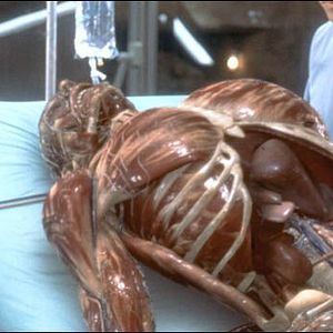 Fotoğraf Görünmeyen Tehlike