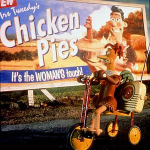 Fotoğraf Tavuklar Firarda