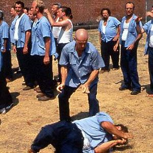 Fotoğraf Animal Factory