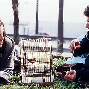 Fotoğraf Silvia Abascal