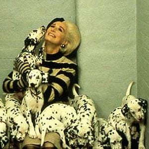 Fotoğraf 102 Dalmaçyalı