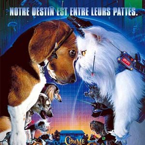 Fotoğraf Kediler ve Köpekler