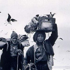 Fotoğraf Danny Glover