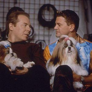 Fotoğraf Best in Show