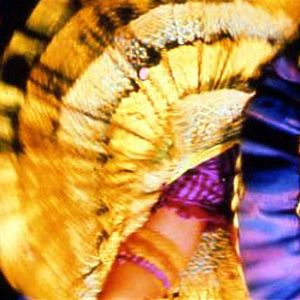 Fotoğraf Kırmızı Değirmen