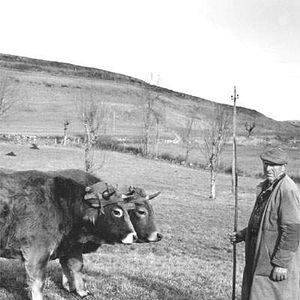 Fotoğraf Raymond Depardon