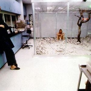 Fotoğraf İçgüdü