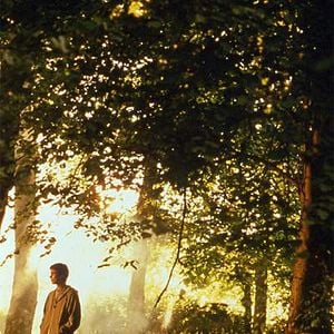 Fotoğraf Tüm Küçük Hayvanlar