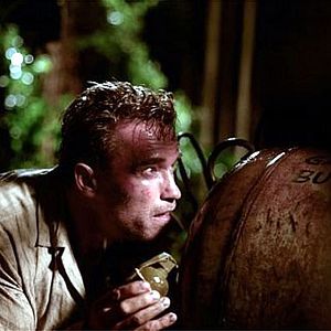 Fotoğraf Ölümüne Takip