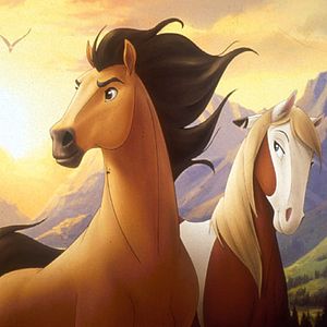 Fotoğraf Özgür Ruh