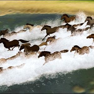 Fotoğraf Özgür Ruh