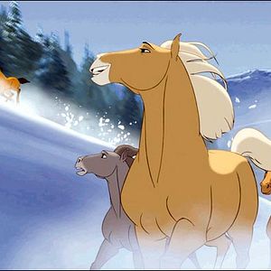 Fotoğraf Özgür Ruh