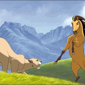 Fotoğraf Özgür Ruh