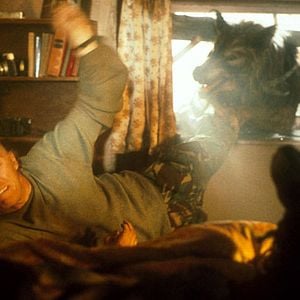 Fotoğraf Dog Soldiers