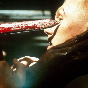 Fotoğraf Dog Soldiers