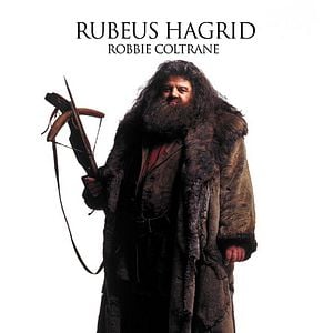 Fotoğraf Harry Potter ve Sırlar Odası