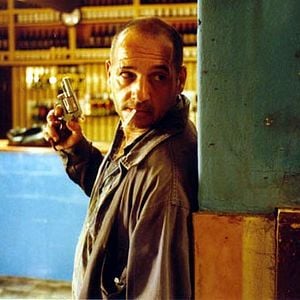 Fotoğraf Un oso rojo