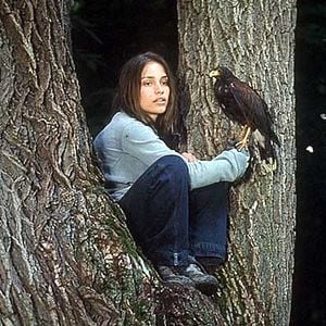 Fotoğraf Kayıp ve Çılgın