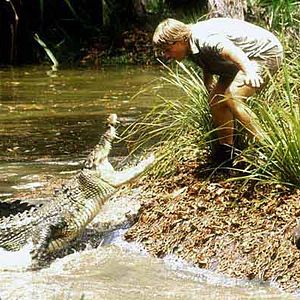 Fotoğraf Crocodile Hunter: Collision Course, The